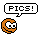 :p.i.c.s: